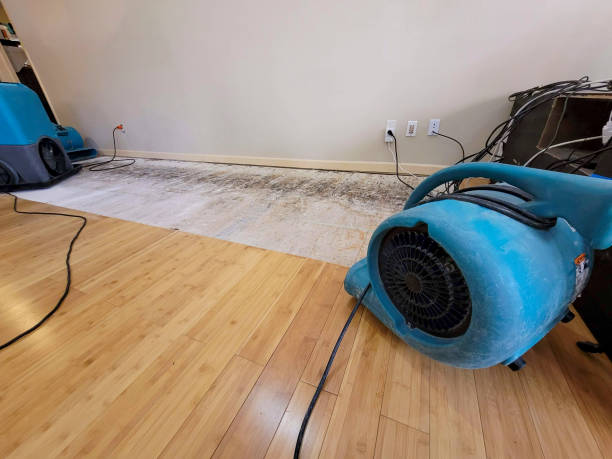 Professional Water Damage Repair technician working in South Gate, CA